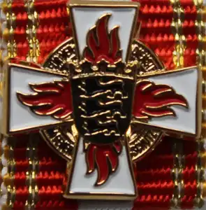 Pin B.W. FEZ Gold besondere Ausführung 